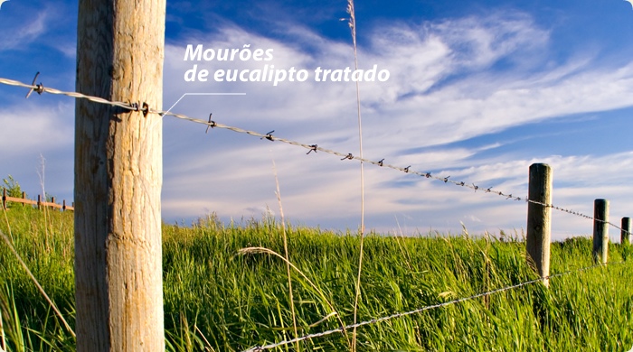 MourÃµes